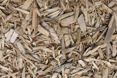 biomass boilers Deri